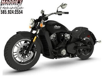 New 2023 Indian Scout