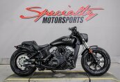 2023 Indian Scout Bobber