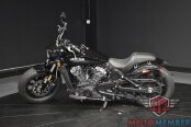 2023 Indian Scout