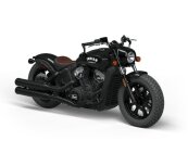2023 Indian Scout