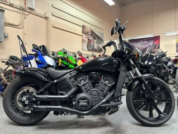 2023 Indian Scout