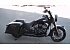 2023 Indian Springfield Dark Horse
