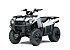 2023 Kawasaki Brute Force 300