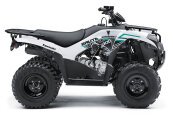 New 2023 Kawasaki Brute Force 300