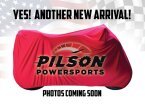 Thumbnail Photo 5 for 2023 Kawasaki KLX300R
