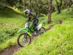 Thumbnail Photo 6 for 2023 Kawasaki KLX300R