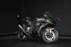 Thumbnail Photo 4 for 2023 Kawasaki Ninja ZX-10R KRT Edition