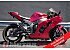 2023 Kawasaki Ninja ZX-10R