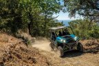 Thumbnail Photo 4 for New 2023 Kawasaki Teryx4 S LE