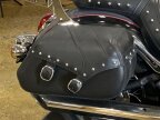 Thumbnail Photo 5 for 2023 Kawasaki Vulcan 900 Classic LT