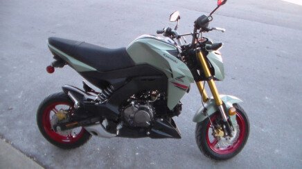 Photo 1 for 2023 Kawasaki Z125 Pro