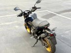 Thumbnail Photo 6 for 2023 Kawasaki Z125 Pro