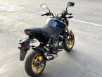 Thumbnail Photo 5 for 2023 Kawasaki Z125 Pro