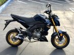 Thumbnail Photo 2 for 2023 Kawasaki Z125 Pro
