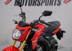 Thumbnail Photo 6 for 2023 Kawasaki Z125 Pro