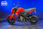 Thumbnail Photo 4 for 2023 Kawasaki Z125 Pro