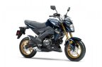 Thumbnail Photo 1 for New 2023 Kawasaki Z125 Pro