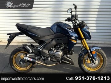 2023 Kawasaki Z125 Pro