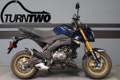 2023 Kawasaki Z125 Pro
