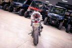 Thumbnail Photo 3 for 2023 Kawasaki Z400 ABS