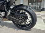 Thumbnail Photo 5 for 2023 Kawasaki Z650 RS