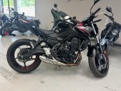 2023 Kawasaki Z650