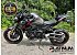 2023 Kawasaki Z900