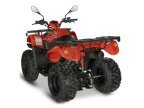 Thumbnail Photo 5 for New 2023 Kayo Bull 200