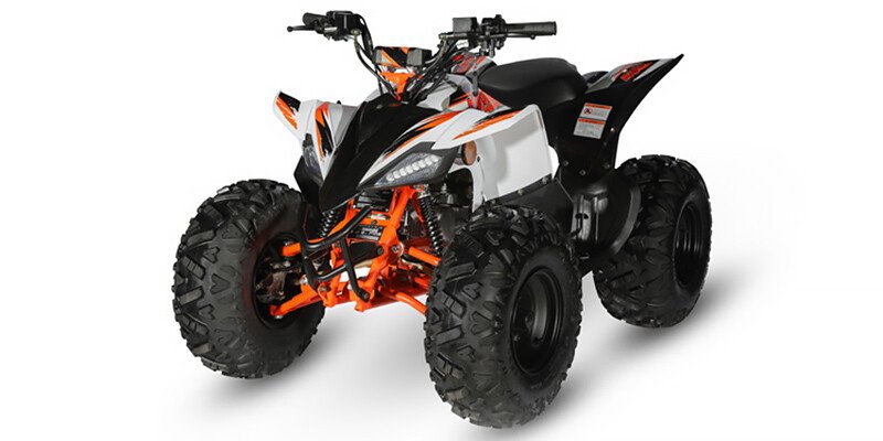 2023 Kayo Predator 125 specifications