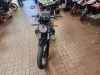 Thumbnail Photo 2 for New 2023 Moto Guzzi V7 Special