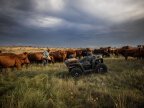 Thumbnail Photo 2 for 2023 Polaris Sportsman 450