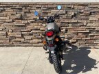 Thumbnail Photo 5 for New 2023 Royal Enfield Scram 411