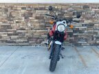 Thumbnail Photo 4 for New 2023 Royal Enfield Scram 411