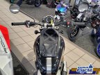 Thumbnail Photo 4 for 2023 Triumph Scrambler 1200 XC