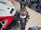Thumbnail Photo 5 for 2023 Triumph Scrambler 1200 XC