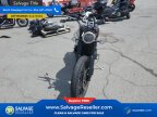 Thumbnail Photo 3 for 2023 Triumph Scrambler 1200 XC