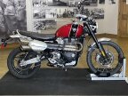 Thumbnail Photo 4 for 2023 Triumph Scrambler 1200 XC