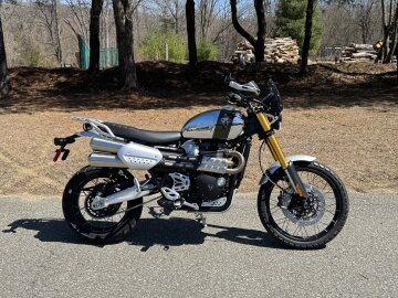 New 2023 Triumph Scrambler