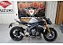 2023 Triumph Speed Triple
