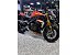 2023 Triumph Speed Triple RS