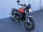 Thumbnail Photo 4 for 2023 Triumph Speed Twin Breitling Edition