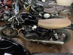 Thumbnail Photo 5 for 2023 Triumph Speed Twin