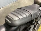 Thumbnail Photo 4 for 2023 Triumph Speed Twin
