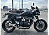 2023 Triumph Speed Twin