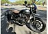2023 Triumph Speed Twin