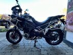 Thumbnail Photo 5 for 2023 Triumph Tiger 1200 GT Pro