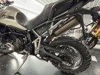 Thumbnail Photo 5 for 2023 Triumph Tiger 900