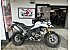 2023 Triumph Tiger 900 Rally Pro