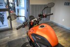 Thumbnail Photo 6 for 2023 Triumph Trident 660