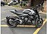 2023 Triumph Trident 660
